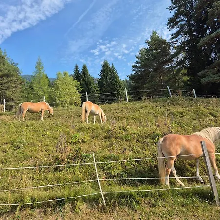 Ad Alta - Matschiedl 1 아파트